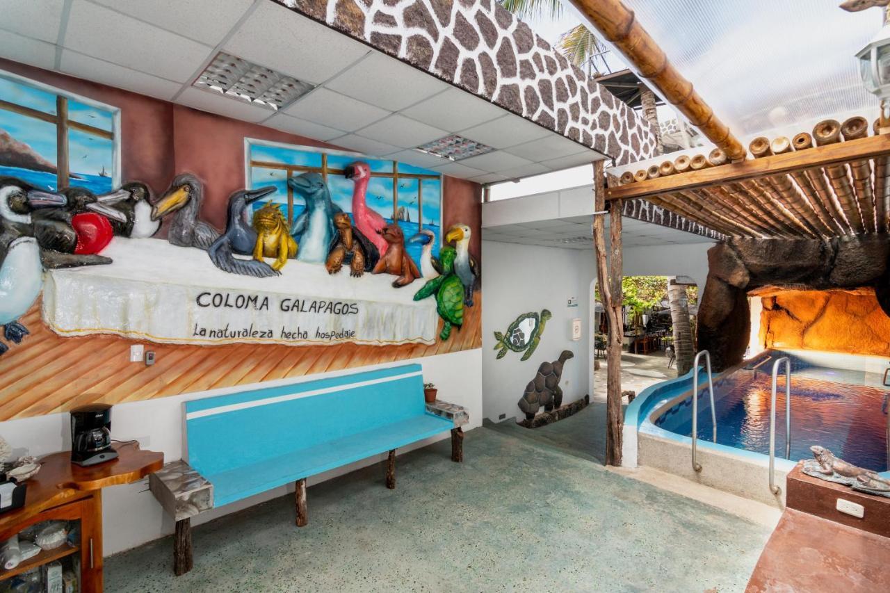 Coloma Galapagos Puerto Ayora (Galapagos Islands)