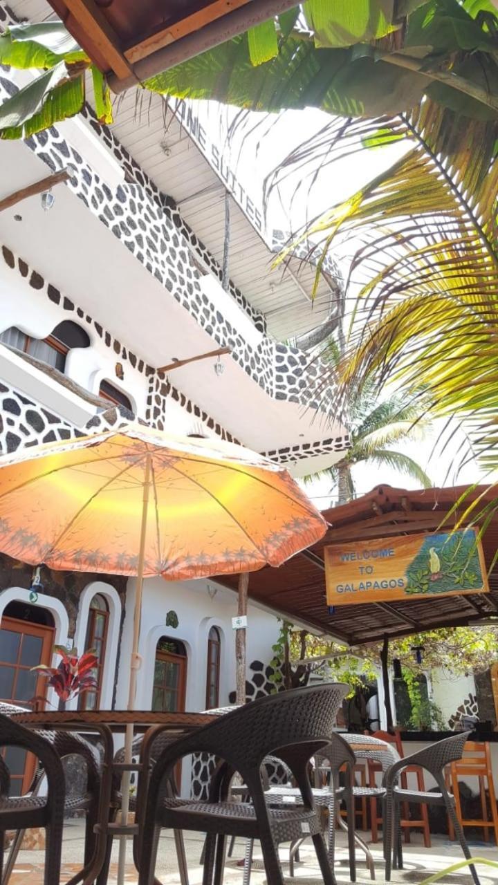 Hotel Coloma Galapagos Puerto Ayora (Galapagos Islands)